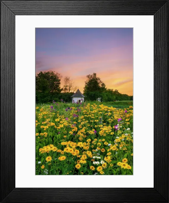 Framed Print : Gazebo at Muster Field Farm at sunset with flower garden, North Sutton, New Hampshire, USA Framed Print : Gazebo at Muster Field Farm at sunset with flower garden, North Sutton, New Hampshire, USA