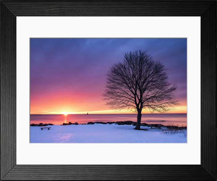 Framed Print : Winter sunrise with tree profile, Great Island Common, New Castle, New Hampshire, USA Framed Print : Winter sunrise with tree profile, Great Island Common, New Castle, New Hampshire, USA