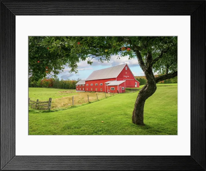 Framed Print : Pioneer Farm and apple tree in autumn, Columbia, New Hampshire, USA Framed Print : Pioneer Farm and apple tree in autumn, Columbia, New Hampshire, USA