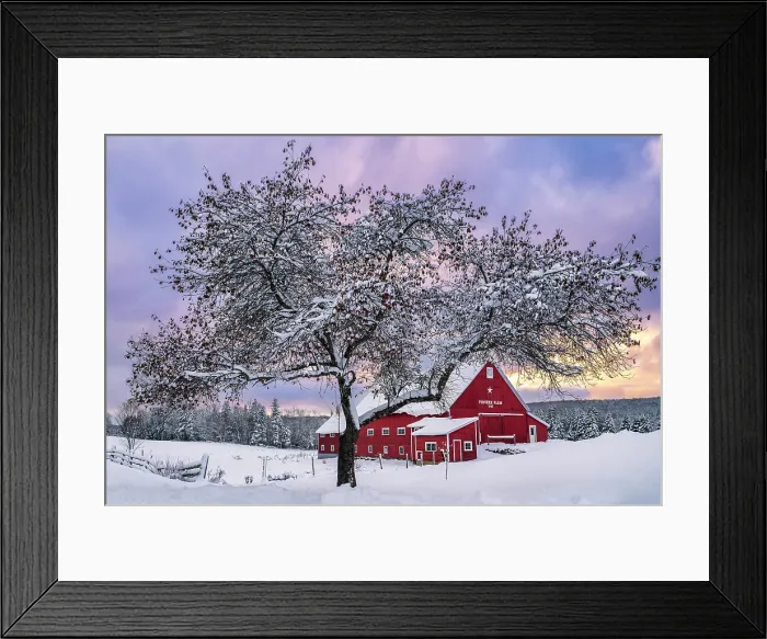 Framed Print : Pioneer Farm at sunset in winter, Columbia, New Hampshire, USA Framed Print : Pioneer Farm at sunset in winter, Columbia, New Hampshire, USA