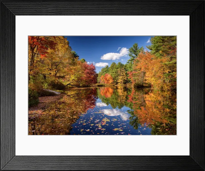 Framed Print : Aiutumn reflection in the Chocorua River, Tamworth, New Hampshire, USA Framed Print : Aiutumn reflection in the Chocorua River, Tamworth, New Hampshire, USA