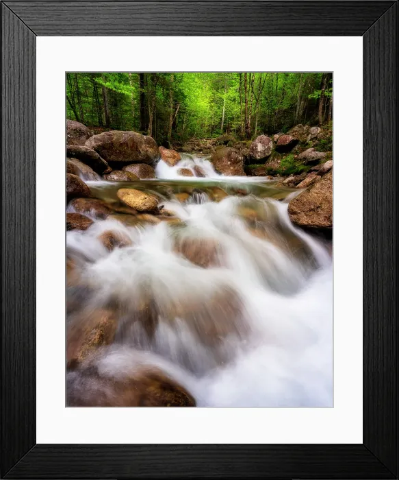 Framed Print : Cascade on Falling Waters Trail, White Mountain National Forest, Franconia Notch State Park, New Hampshire, USA