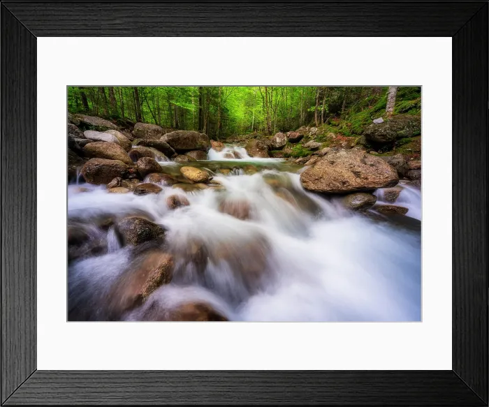 Framed Print : Cascade on Falling Waters Trail, White Mountain National Forest, Franconia Notch State Park, New Hampshire, USA Framed Print : Cascade on Falling Waters Trail, White Mountain National Forest, Franconia Notch State Park, New Hampshire, USA