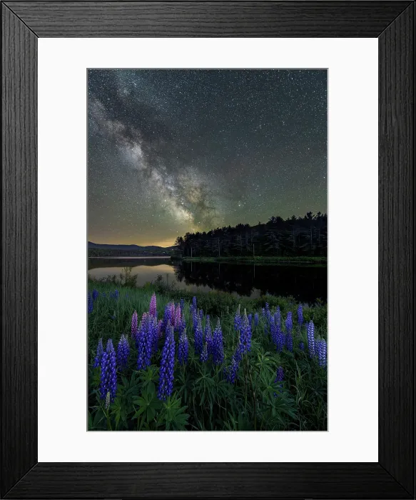 Framed Print : Milky Way over lupines on Pearl Lake, Lisbon, New Hampshire, USA Framed Print : Milky Way over lupines on Pearl Lake, Lisbon, New Hampshire, USA