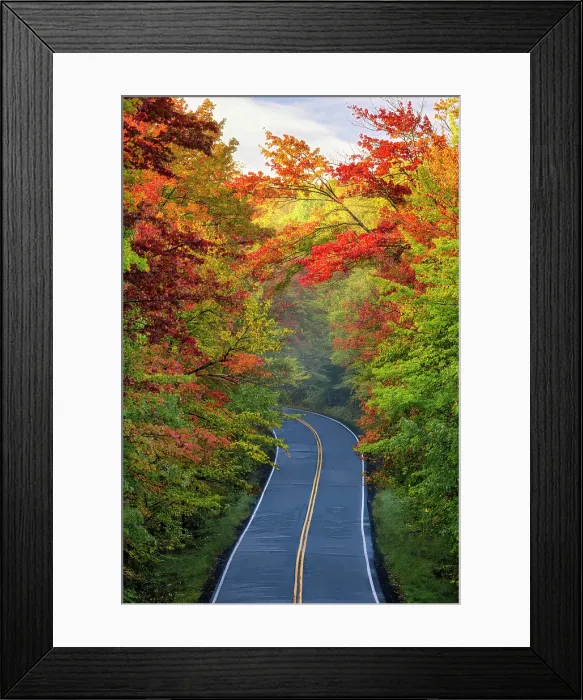 Framed Print : Road with fall foliage canopy, Groton State Forest, Vermont, USA Framed Print : Road with fall foliage canopy, Groton State Forest, Vermont, USA