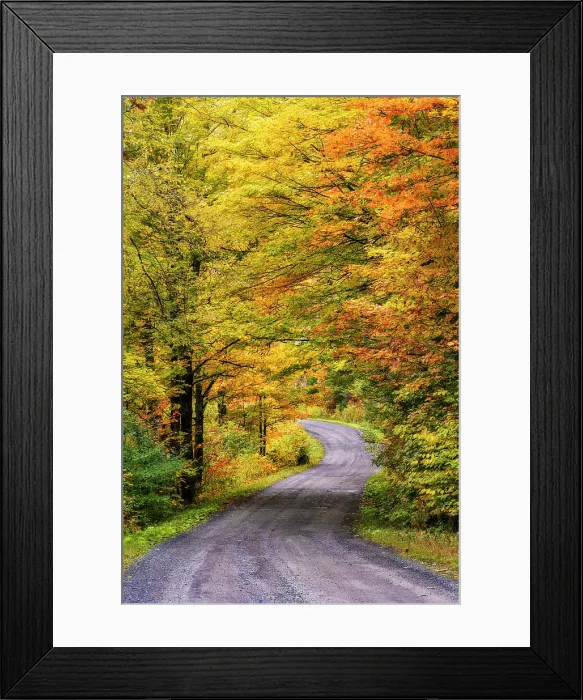 Framed Print : Country road with fall foliage, Northeast Kingdom, Sheffield, Vermont, USA