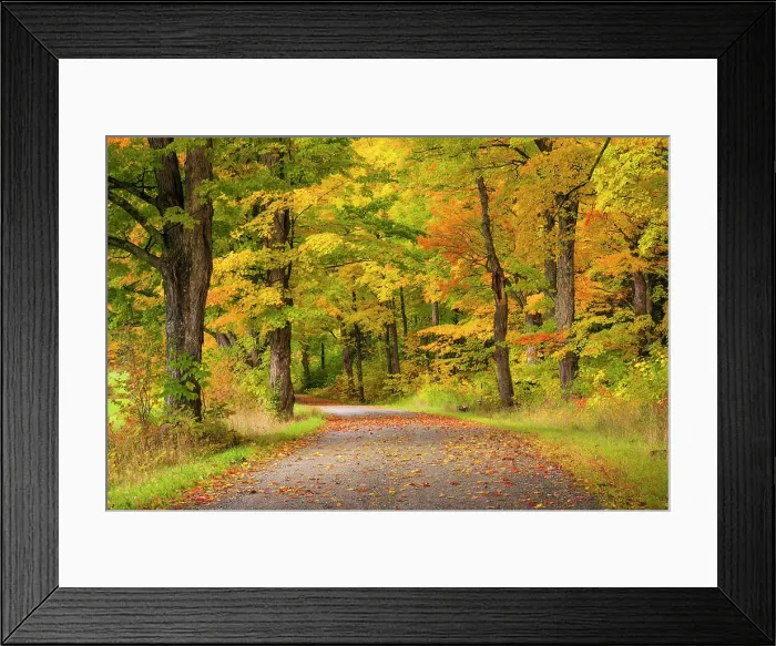 Framed Print : Country road in autumn, Green Mountains, Morristown, Vermont, USA Framed Print : Country road in autumn, Green Mountains, Morristown, Vermont, USA