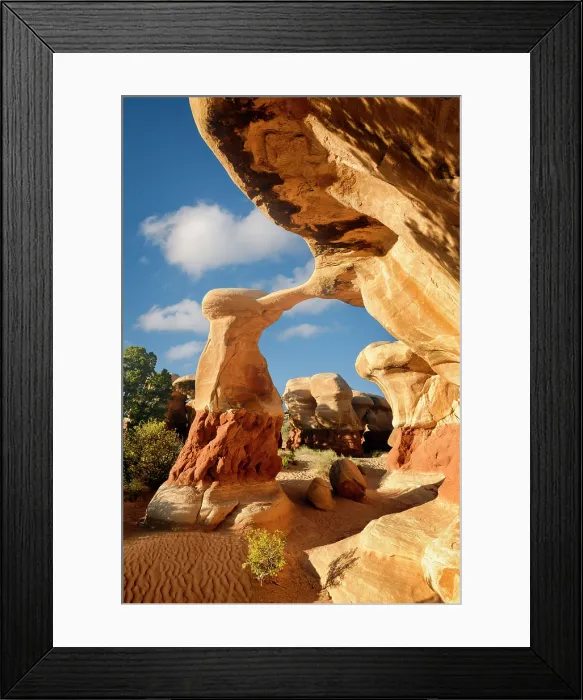 Framed Print : Golden light on Metate Arch in Devil's Garden, Grand Staircase-Escalante National Monument, Utah, USA Framed Print : Golden light on Metate Arch in Devil's Garden, Grand Staircase-Escalante National Monument, Utah, USA