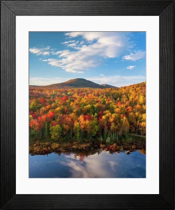 Framed Print : Fall foliage on hillside at Turtlehead Pond, Marshfield, Vermont, USA