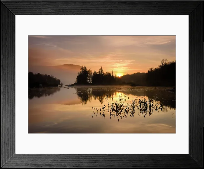 Framed Print : Sunrise relfection at Turtlehead Pond, Green Mountains, Marshfield, Vermont, USA