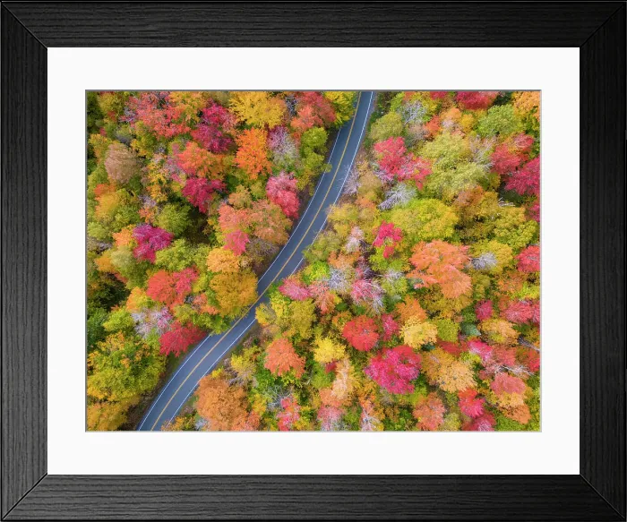 Framed Print : Top-down view of fall foliage at peak, Groton State Forest, Vermont, USA Framed Print : Top-down view of fall foliage at peak, Groton State Forest, Vermont, USA