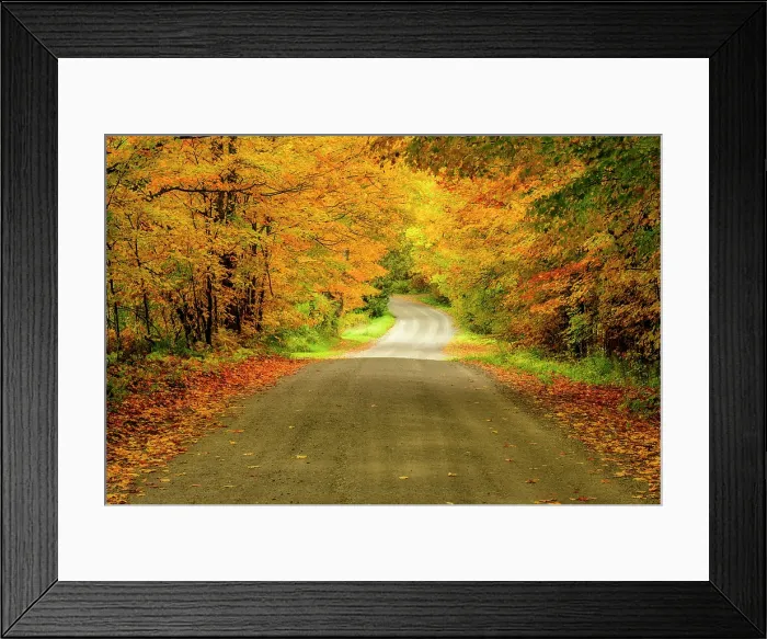 Framed Print : Country road in autumn, Northeast Kingdom, Greensboro, Vermont, USA Framed Print : Country road in autumn, Northeast Kingdom, Greensboro, Vermont, USA