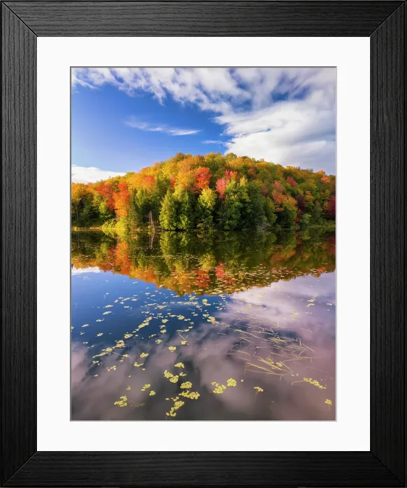 Framed Print : Autumn reflection at Belvedere Pond, Northeast Kingdom, Belvedere, Vermont, USA Framed Print : Autumn reflection at Belvedere Pond, Northeast Kingdom, Belvedere, Vermont, USA