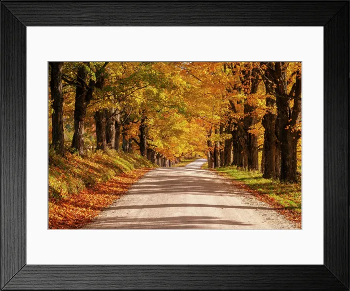 Framed Print : Autumn canopy over country road, Green Mountains, Belmont, Vermont, USA Framed Print : Autumn canopy over country road, Green Mountains, Belmont, Vermont, USA