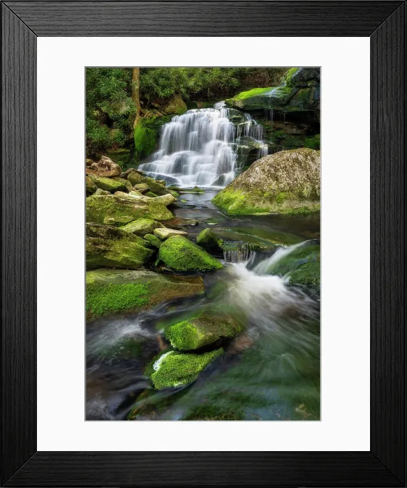 Framed Print : Moss at Elakala Falls in Blackwater Falls State Park, West Virginia, USA Framed Print : Moss at Elakala Falls in Blackwater Falls State Park, West Virginia, USA