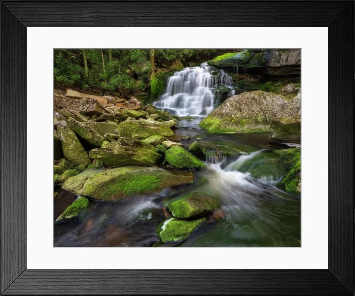 Framed Print : Moss at Elakala Falls in Blackwater Falls State Park, West Virginia, USA Framed Print : Moss at Elakala Falls in Blackwater Falls State Park, West Virginia, USA