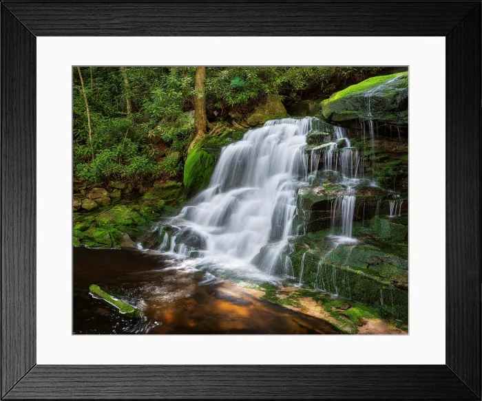 Framed Print : Moss at Elakala Falls in Blackwater Falls State Park, West Virginia, USA Framed Print : Moss at Elakala Falls in Blackwater Falls State Park, West Virginia, USA