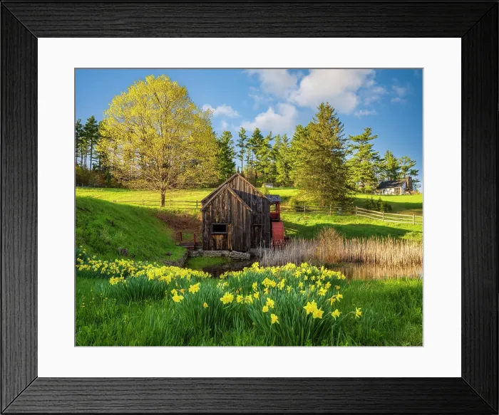 Framed Print : The Old Guildall Grist Mill with yellow daffodils, Northeast Kingdom, Guildhall, Vermont, USA Framed Print : The Old Guildall Grist Mill with yellow daffodils, Northeast Kingdom, Guildhall, Vermont, USA
