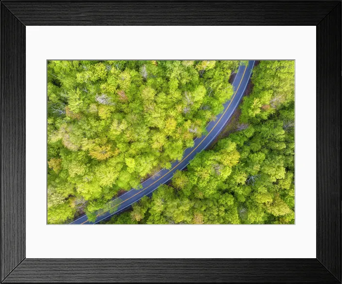 Framed Print : Top-down view of spring foliage, Groton State Forest, Vermont, USA Framed Print : Top-down view of spring foliage, Groton State Forest, Vermont, USA