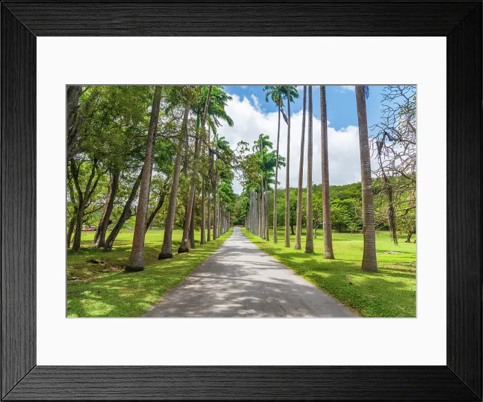 Framed Print : West Indies, Barbados, Saint John, Codrington College Framed Print : West Indies, Barbados, Saint John, Codrington College