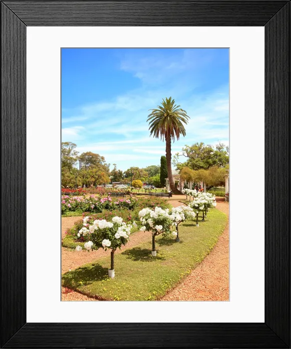 Framed Print : The Rosedal Garden (Rosedal de Palermo) in springtime, Parque Tres de Febrero, Palermo, Buenos Aires, Argentina Framed Print : The Rosedal Garden (Rosedal de Palermo) in springtime, Parque Tres de Febrero, Palermo, Buenos Aires, Argentina