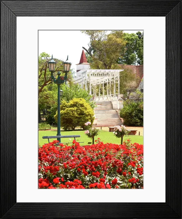 Framed Print : The Rosedal Garden (Rosedal de Palermo) in springtime, Parque Tres de Febrero, Palermo, Buenos Aires, Argentina Framed Print : The Rosedal Garden (Rosedal de Palermo) in springtime, Parque Tres de Febrero, Palermo, Buenos Aires, Argentina