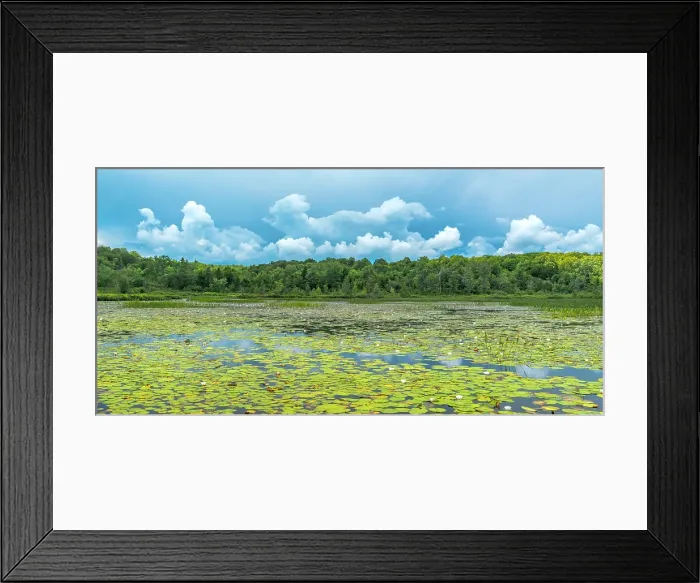 Framed Print : Storm clouds forming over wetland on Horseshoe Lake, Muskoka, Ontario, Canada