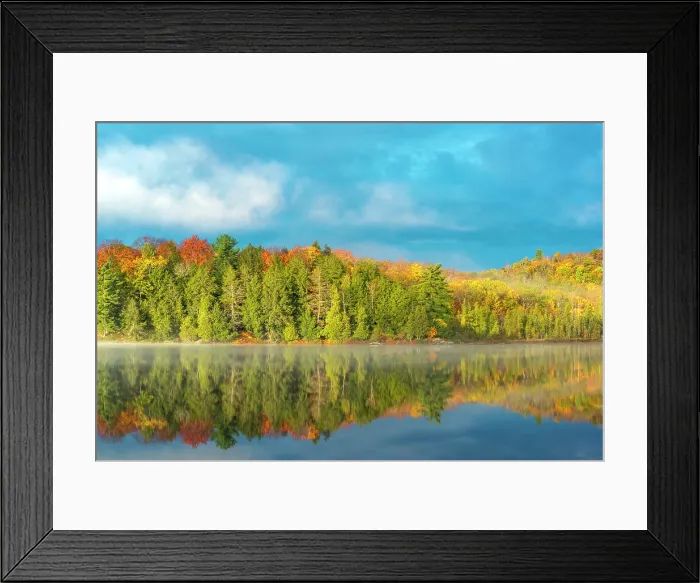 Framed Print : Autumn colour on Horseshoe Lake in Muskoka, Ontario, Canada Framed Print : Autumn colour on Horseshoe Lake in Muskoka, Ontario, Canada