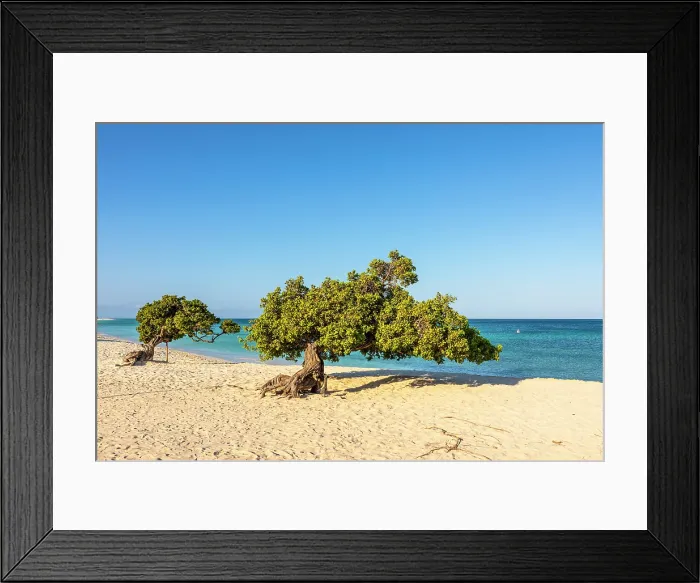 Framed Print : Eagle Beach, Oranjestad, Aruba Framed Print : Eagle Beach, Oranjestad, Aruba