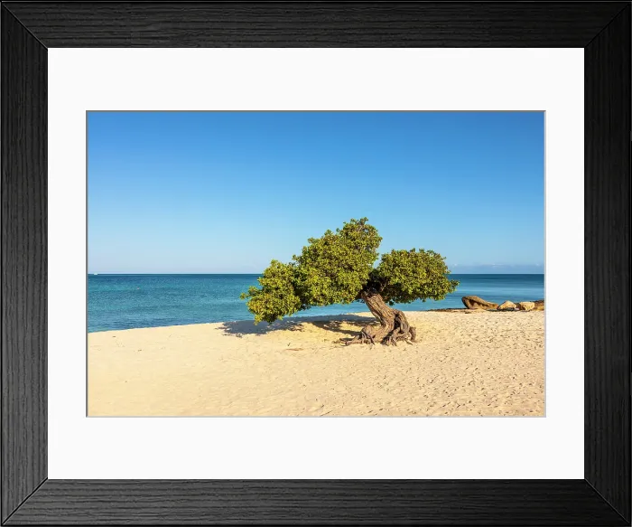 Framed Print : Eagle Beach, Oranjestad, Aruba Framed Print : Eagle Beach, Oranjestad, Aruba