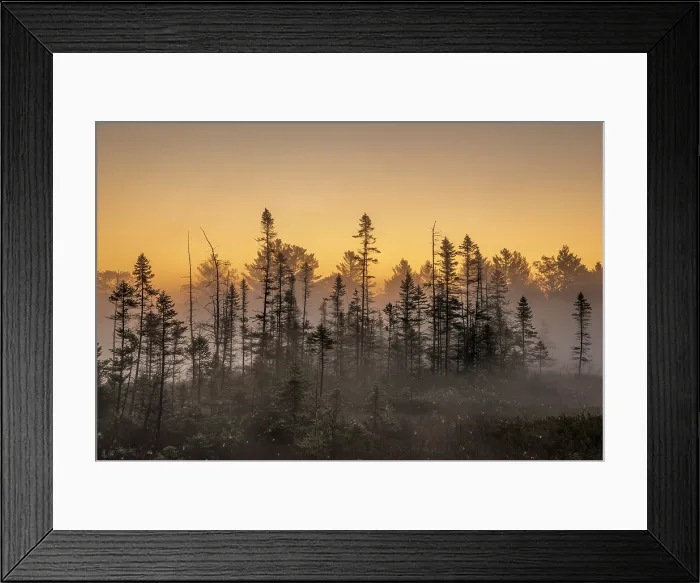 Framed Print : Daybreak in the Torrance Barrens, Muskoka, Ontario, Canada Framed Print : Daybreak in the Torrance Barrens, Muskoka, Ontario, Canada