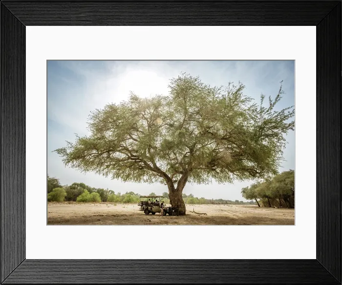 Framed Print : africa, Zimbabwe, Mana Pools National Park. A safari car under a tree in a river bed for coffee break Framed Print : africa, Zimbabwe, Mana Pools National Park. A safari car under a tree in a river bed for coffee break