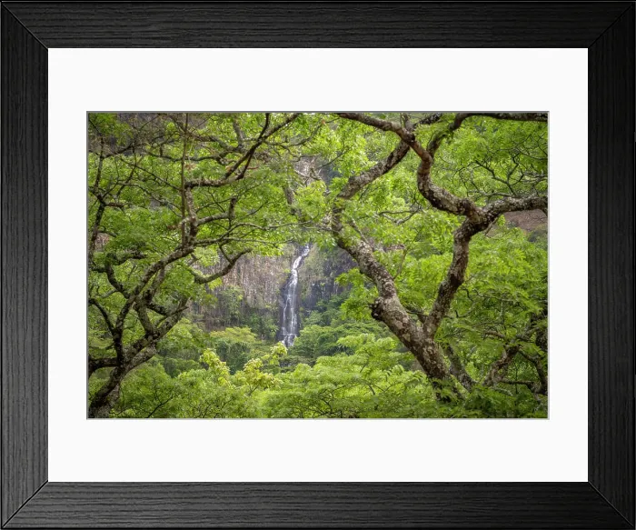 Framed Print : africa, Zimbabwe, Eastern Highlands, Chimanimani National Park. The bridal veil falls seen through the forest Framed Print : africa, Zimbabwe, Eastern Highlands, Chimanimani National Park. The bridal veil falls seen through the forest
