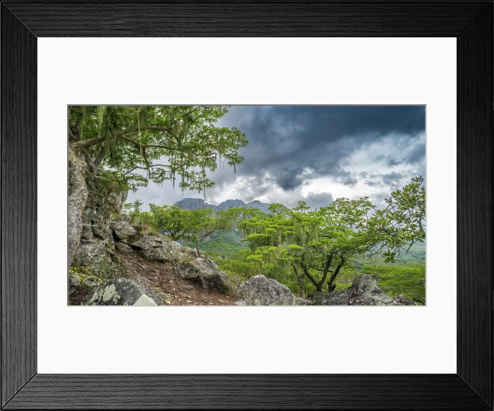 Framed Print : africa, Zimbabwe, Eastern Highlands, Chimanimani National Park. On a hiking path