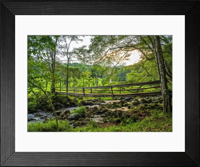Framed Print : africa, Zimbabwe, Eastern Highlands, Honde Valley. The creek near to Aberfoyle Lodge Framed Print : africa, Zimbabwe, Eastern Highlands, Honde Valley. The creek near to Aberfoyle Lodge