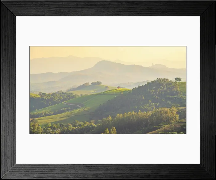 Framed Print : africa, Zimbabwe, Eastern Highlands, Honde Valley. The hills with tea plantations near to Aberfoyle Lodge Framed Print : africa, Zimbabwe, Eastern Highlands, Honde Valley. The hills with tea plantations near to Aberfoyle Lodge