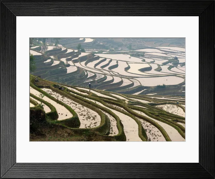 Framed Print : China, Zhonghua, Yunnan, Yuanyang, Hani rice terraces Framed Print : China, Zhonghua, Yunnan, Yuanyang, Hani rice terraces