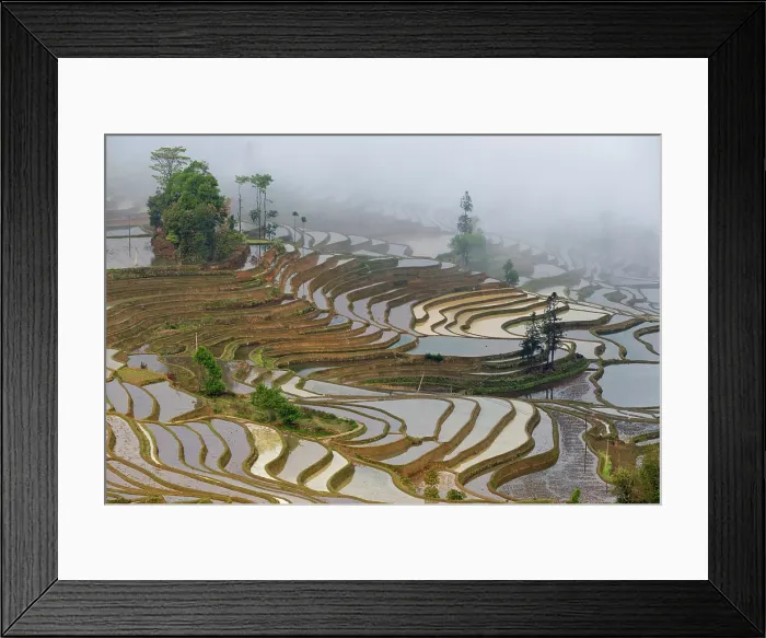 Framed Print : China, Zhonghua, Yunnan, Yuanyang, Hani rice terraces Framed Print : China, Zhonghua, Yunnan, Yuanyang, Hani rice terraces