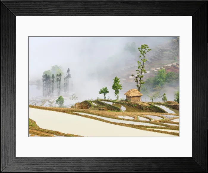 Framed Print : China, Zhonghua, Yunnan, Yuanyang, A thatched hut amongst the Hani rice terraces Framed Print : China, Zhonghua, Yunnan, Yuanyang, A thatched hut amongst the Hani rice terraces