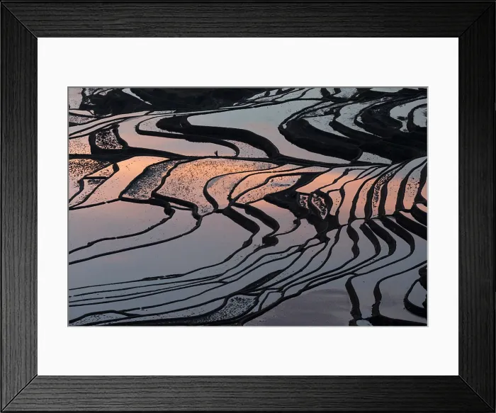 Framed Print : China, Zhonghua, Yunnan, Yuanyang, A farmer walks through the rice terraces Framed Print : China, Zhonghua, Yunnan, Yuanyang, A farmer walks through the rice terraces