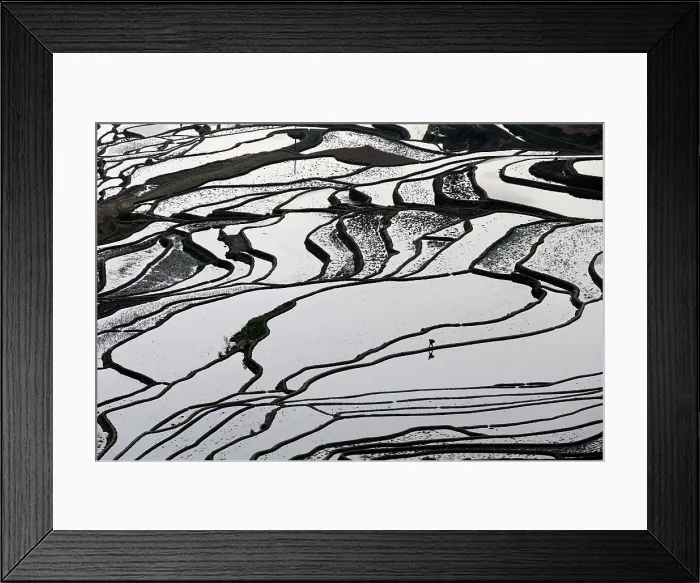 Framed Print : China, Zhonghua, Yunnan, Yuanyang, A farmer walks through the rice terraces Framed Print : China, Zhonghua, Yunnan, Yuanyang, A farmer walks through the rice terraces