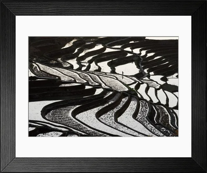 Framed Print : China, Zhonghua, Yunnan, Yuanyang, A farmer walks through the rice terraces Framed Print : China, Zhonghua, Yunnan, Yuanyang, A farmer walks through the rice terraces