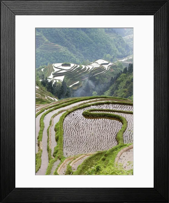 Framed Print : China, Zhonghua, Guizhou, Jiabang rice terraces of southern Guizhou