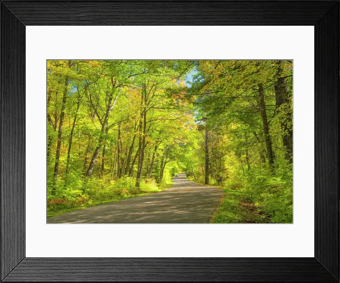 Framed Print : USA, Minnesota, Itasca State Park, Mississippi Headwaters, road Framed Print : USA, Minnesota, Itasca State Park, Mississippi Headwaters, road