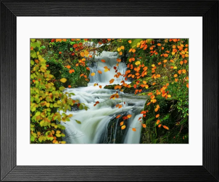 Framed Print : Rydal Beck in Autumn, Lake District National Park, Cumbria, England Framed Print : Rydal Beck in Autumn, Lake District National Park, Cumbria, England