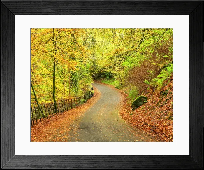 Framed Print : Country Lane in Autumn, Ambleside, Lake District National Park, Cumbria, England Framed Print : Country Lane in Autumn, Ambleside, Lake District National Park, Cumbria, England