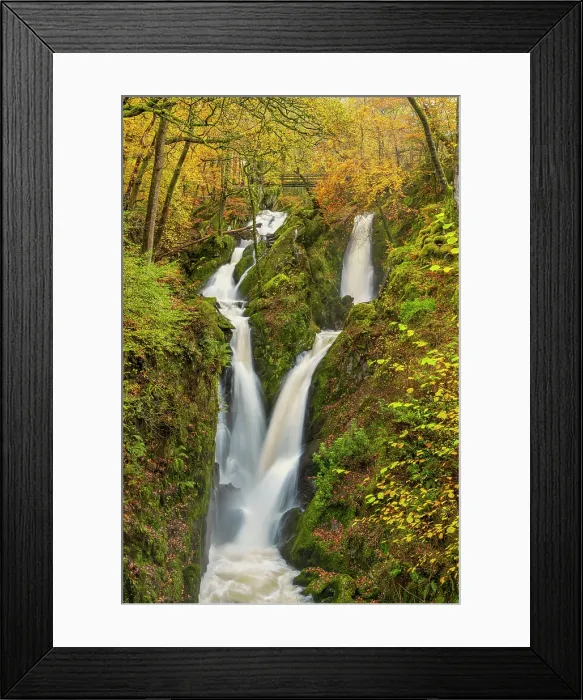Framed Print : Stock Ghyll Force in Autumn, Lake District National Park, Cumbria, England Framed Print : Stock Ghyll Force in Autumn, Lake District National Park, Cumbria, England