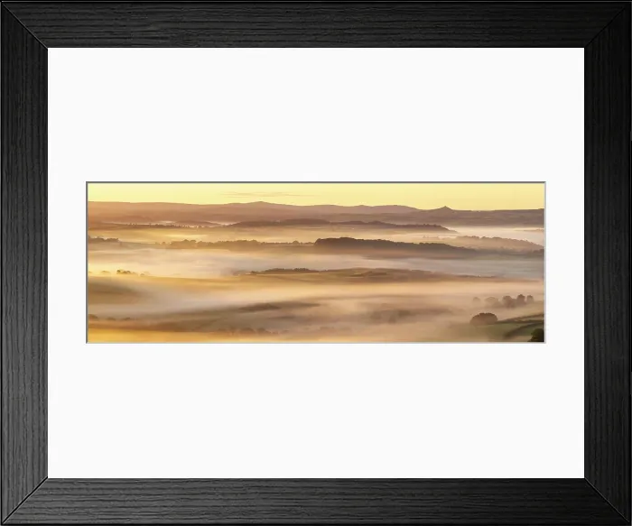 Framed Print : Mist shrouded rolling countryside at dawn, Lifton, Devon, England. Autumn (September) 2025
