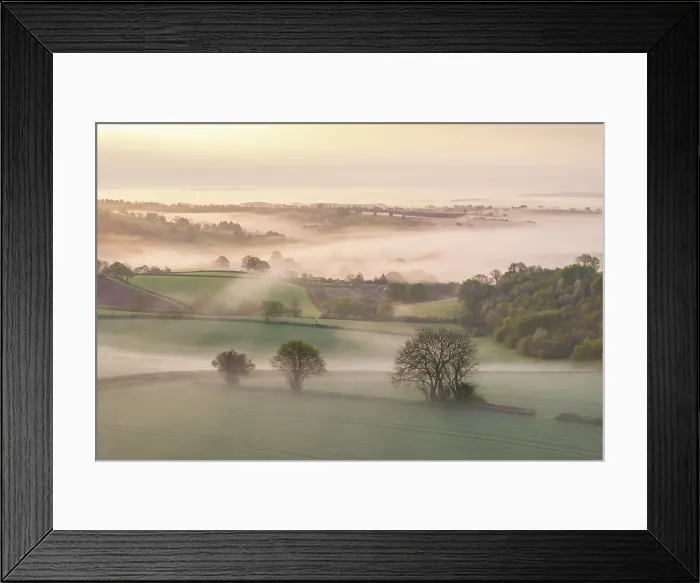 Framed Print : Mist shrouded rolling countryside at dawn, mid Devon, England. Spring (April) 2025 Framed Print : Mist shrouded rolling countryside at dawn, mid Devon, England. Spring (April) 2025