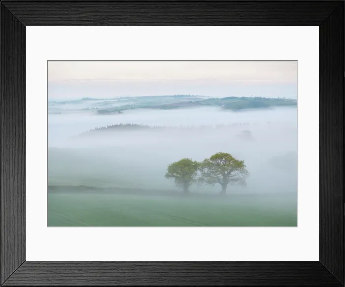 Framed Print : Early morning mist over countryside, mid Devon, England. Spring (April) 2025 Framed Print : Early morning mist over countryside, mid Devon, England. Spring (April) 2025
